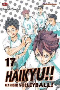 Haikyu Fly High Volleyball 17