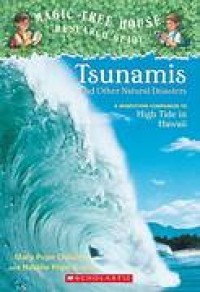 Tsunamis and Other Natural Disasters